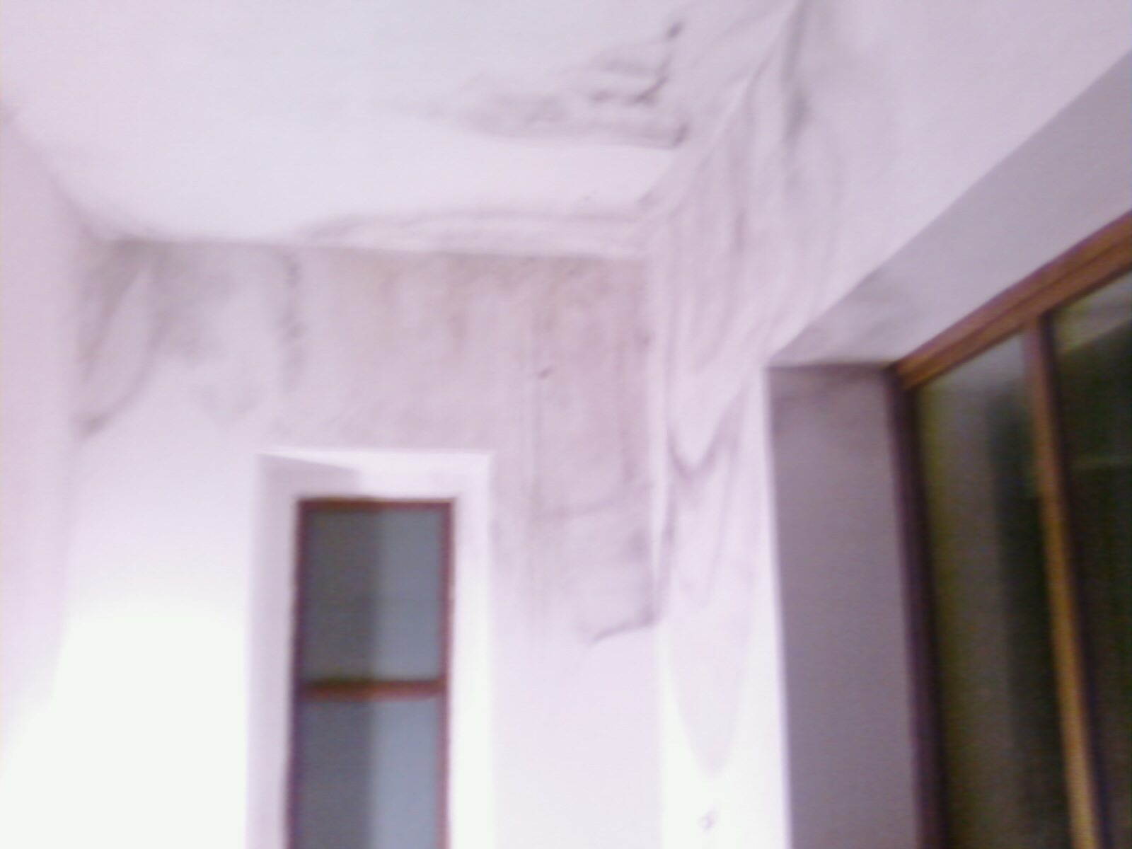 Ex Casa del Fascio - macchia 3.jpg